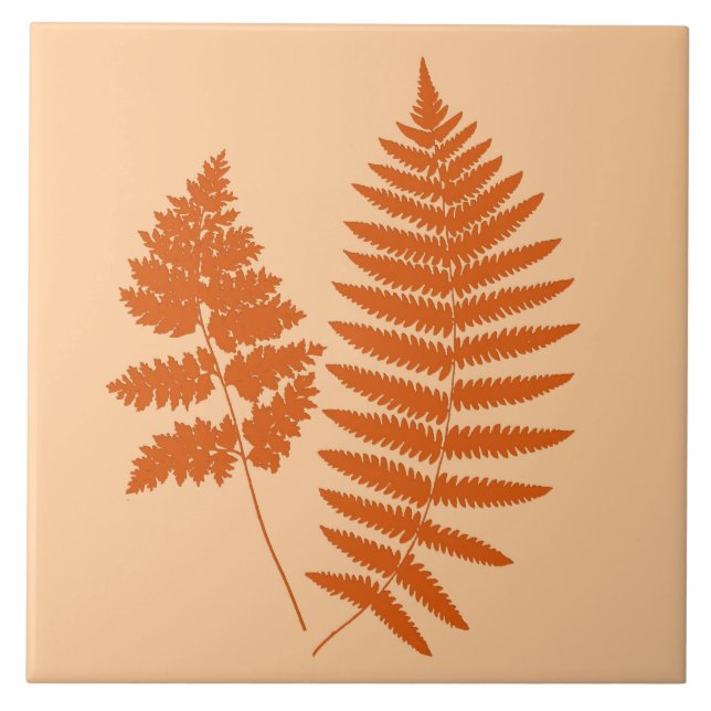 Azulejo De Cerâmica Woodland Fern, Pastel e Mandarin Orange (Frente)