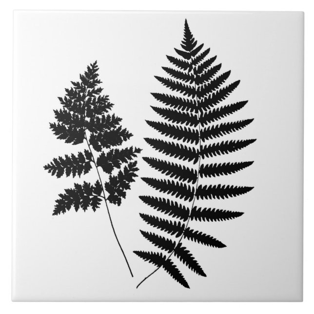 Azulejo De Cerâmica Woodland Fern, Preto e Branco (Frente)