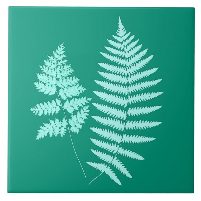 Azulejo De Cerâmica Woodland Fern, Turquesa e Aqua (Frente)