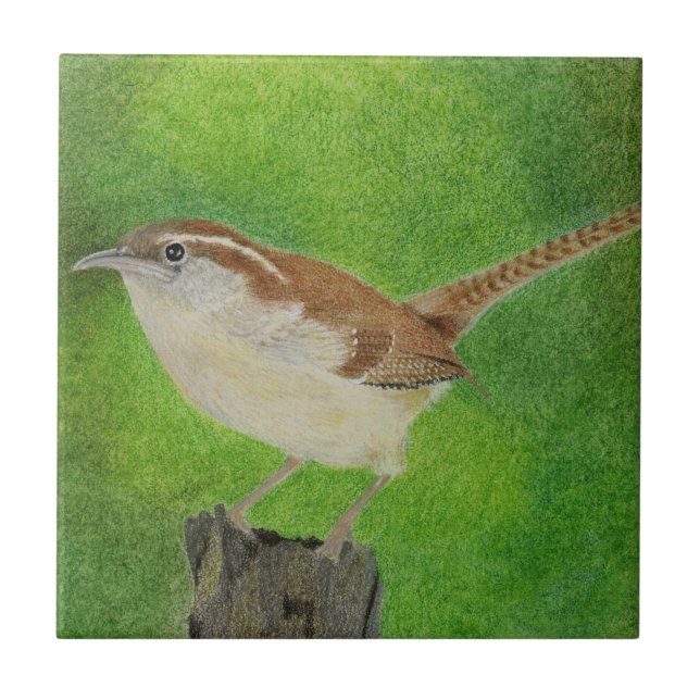 Azulejo De Cerâmica Wren (Frente)
