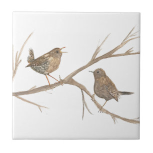Azulejo De Cerâmica Wren Bird Willife Watercolor Art Cute