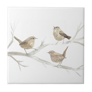 Azulejo De Cerâmica Wren Bird Willife Watercolor Art Cute