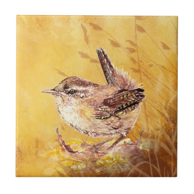 Azulejo De Cerâmica Wren Wren Bird Willife Art (Frente)