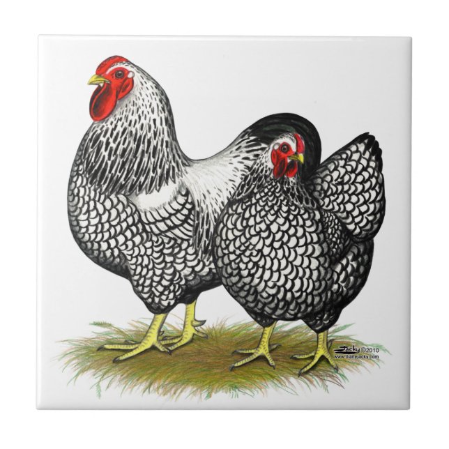 Azulejo De Cerâmica Wyandotte:  Pares de prata (Frente)