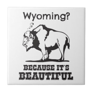Azulejo De Cerâmica Wyoming? Porque é lindo