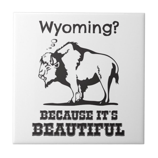 Azulejo De Cerâmica Wyoming? Porque é lindo (Frente)