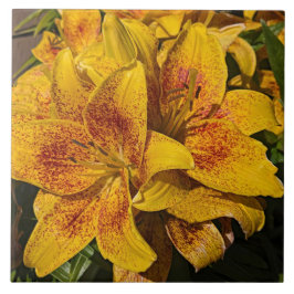 Azulejo De Cerâmica Yellow Astiatic Lily Blooms Floral