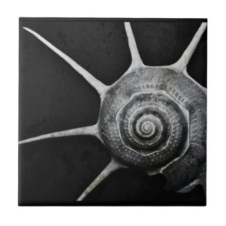 Azulejo De Cerâmica Yoka Shell telha