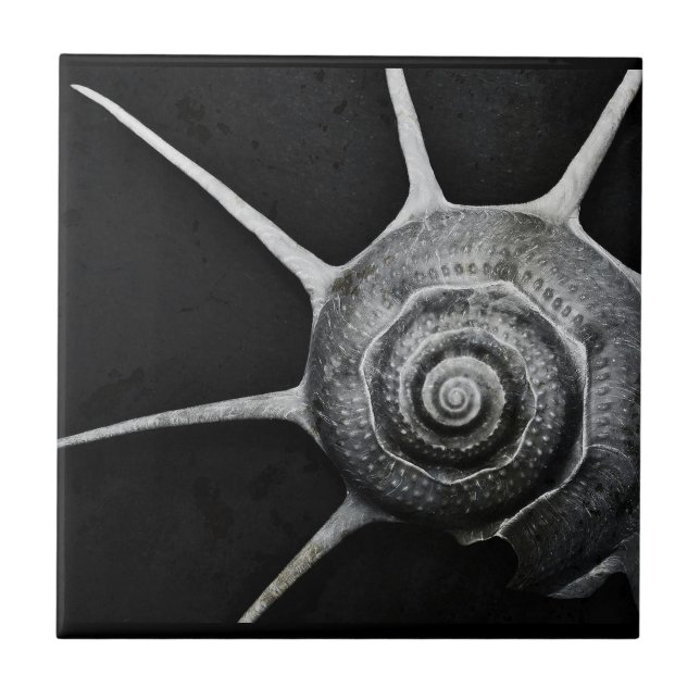 Azulejo De Cerâmica Yoka Shell telha (Frente)