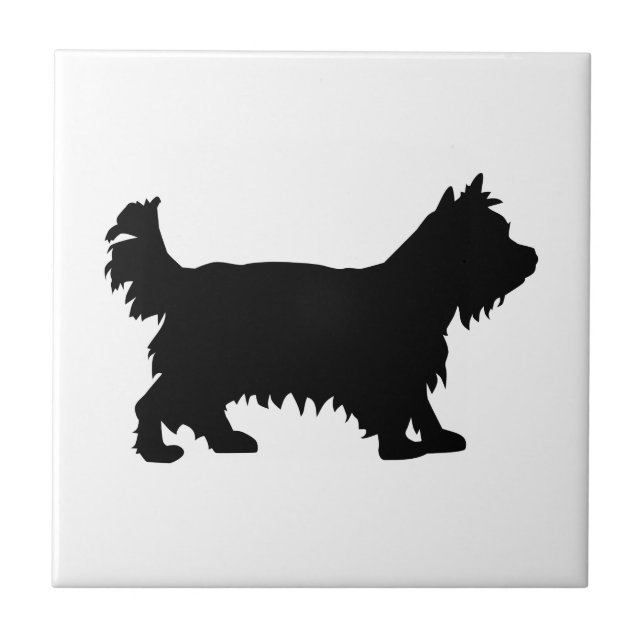 Azulejo De Cerâmica Yorkshire terrier (Frente)