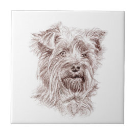 Azulejo De Cerâmica Yorkshire Terrier Drawing