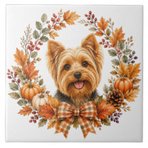 Yorkshire Terrier Outono