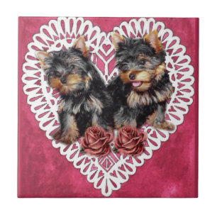 Azulejo De Cerâmica Yorkshire Terrier Puppies Dias de os namorados