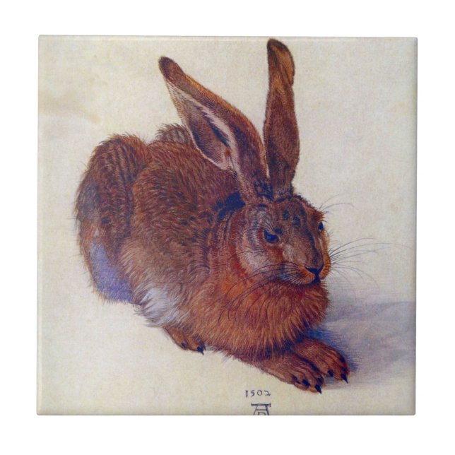 Azulejo De Cerâmica Young Hare by Albrecht Durer, Renaissance Fine Art (Frente)