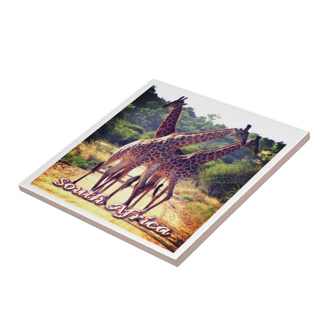 Azulejo De Cerâmica ZA011 ÁFRICA DO SUL, Girafas, (Lateral)