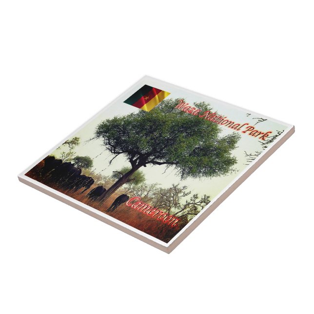 Azulejo De Cerâmica zCM007 WASA N.P. Camerron, África (Lateral)