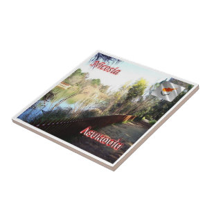 Azulejo De Cerâmica zCY019 NICOSIA Athalassa Park, Chipre