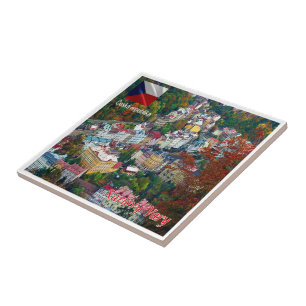 Azulejo De Cerâmica zCZ019 KARLOVY VARY República Checa,