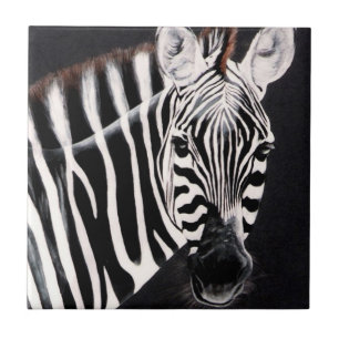 Azulejo De Cerâmica Zebra