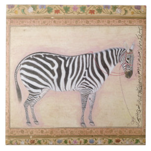 Azulejo De Cerâmica Zebra, de "do álbum Minto", 1621 (gouache no pa