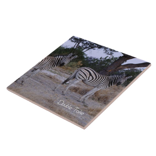 Azulejo De Cerâmica Zebra Double Take Foto (Lateral)