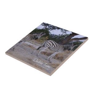 Azulejo De Cerâmica Zebra Double Take Foto