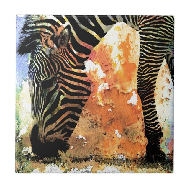 Azulejo De Cerâmica Zebra Grunge Colorida (Frente)
