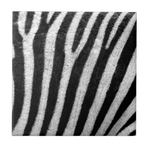 Azulejo De Cerâmica Zebra Skin