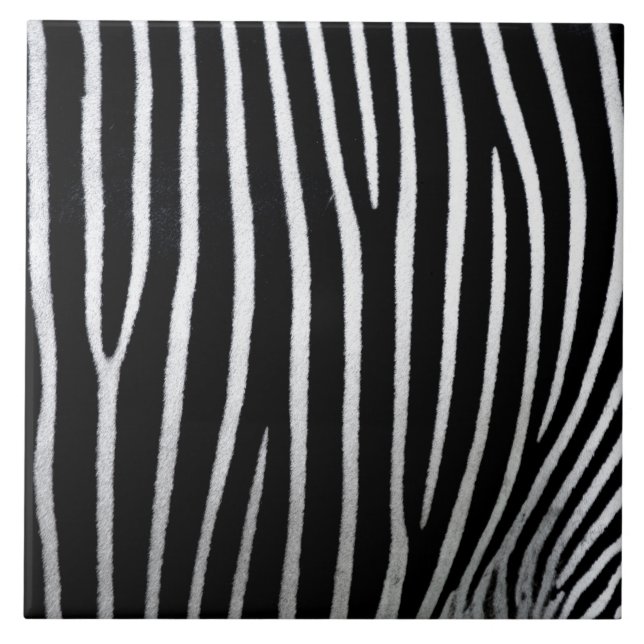 Azulejo De Cerâmica Zebra Skin (Frente)