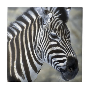 Azulejo De Cerâmica Zebras Lovers Art