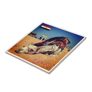 Azulejo De Cerâmica zEG021 EGYPT, Camel, África,