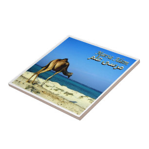 Azulejo De Cerâmica zEG047 MARSA ALAM, Mar Vermelho, Egito,