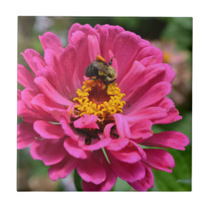 Azulejo De Cerâmica Zínia Rosa e Abelha