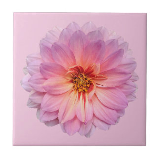 Azulejo De Cerâmica Zínia Rosa Fundo Rosa Claro
