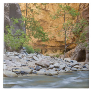 Azulejo De Cerâmica Zion Narrows