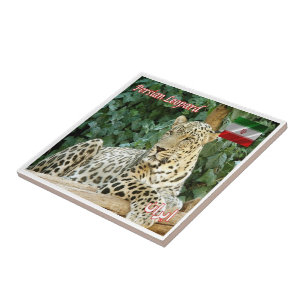 Azulejo De Cerâmica zIR006 PERSIAN LEOPARD, Irã, Ásia,