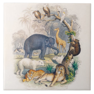 Azulejo De Cerâmica zoológico, animal, fofo, animais, natureza, crianç