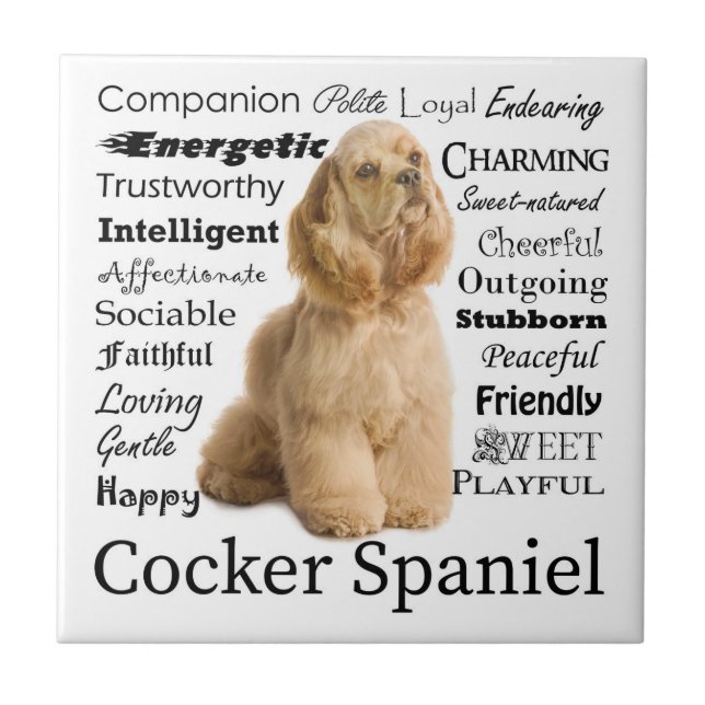 Azulejo de cocker spaniel (Frente)