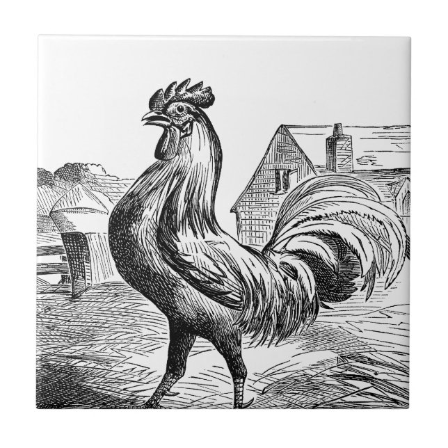 Azulejo de decoração da fazenda de galinha de safr (Frente)