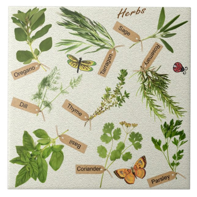 azulejo de ervas (Frente)