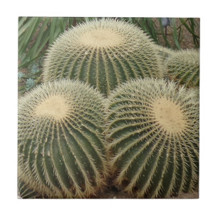 Azulejo de Foto Cerâmica Cactus Small (4,25" x 4,2