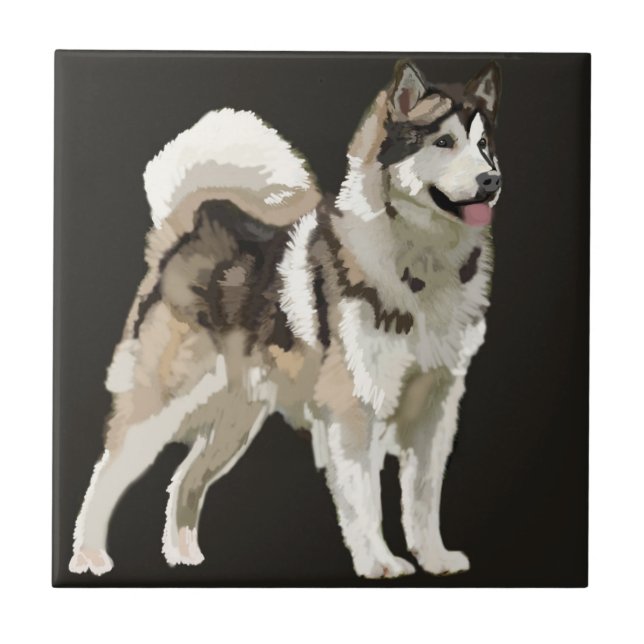 Azulejo de Foto Cerâmica de Cachorro Husky (Frente)