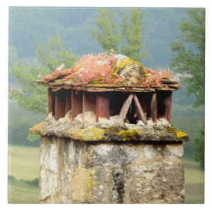 Azulejo de Fotografia Cerâmica da Chimney Francesa