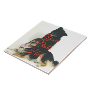 Azulejo de Fotografia Cerâmica Personalizada - 2 T