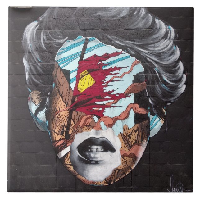 Azulejo de grafite que representa a cabeça de uma  (Frente)