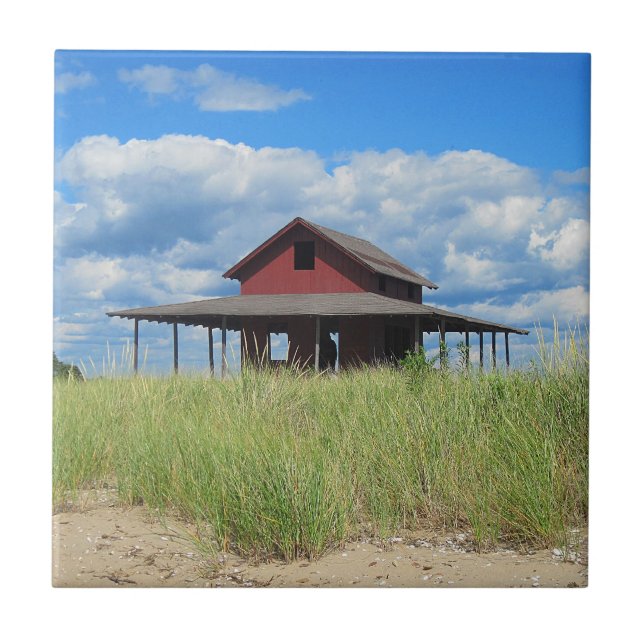 Azulejo de Grass Island (Frente)