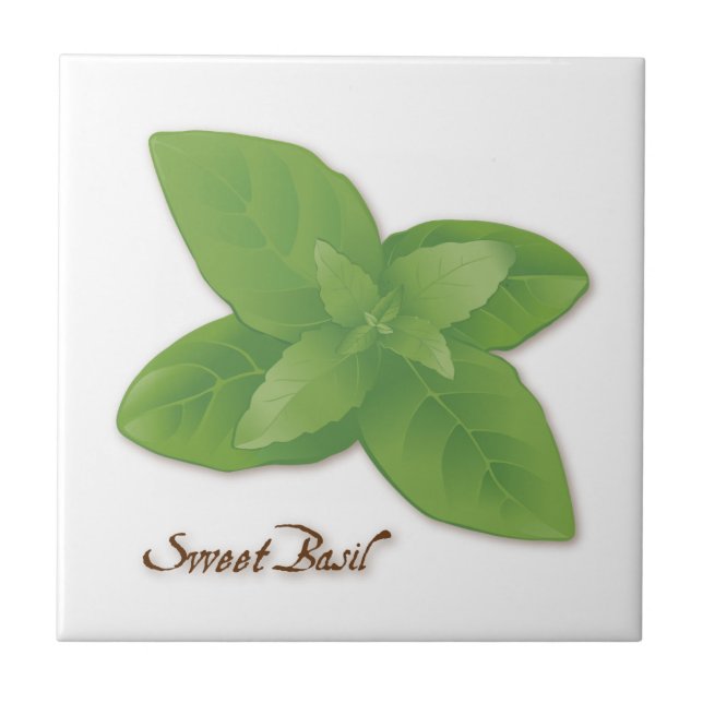 Azulejo de Herb de Sweet Basil (Frente)