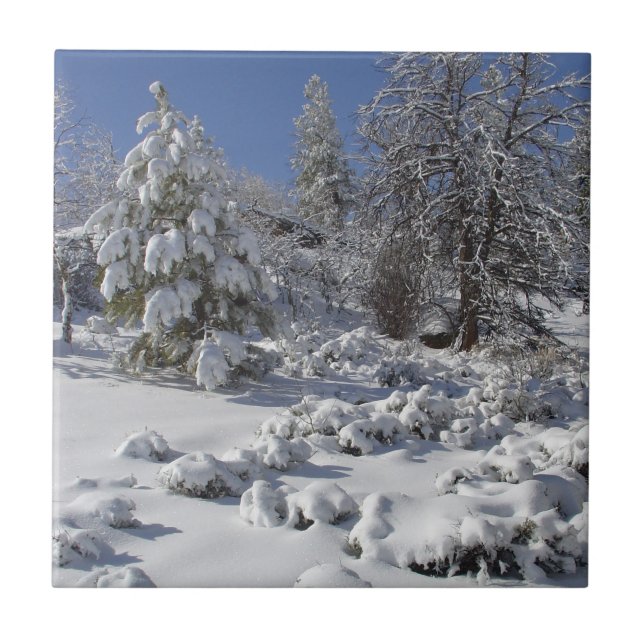 Azulejo de inverno do Colorado High Country (Frente)