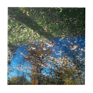 Azulejo de outono do Mirror