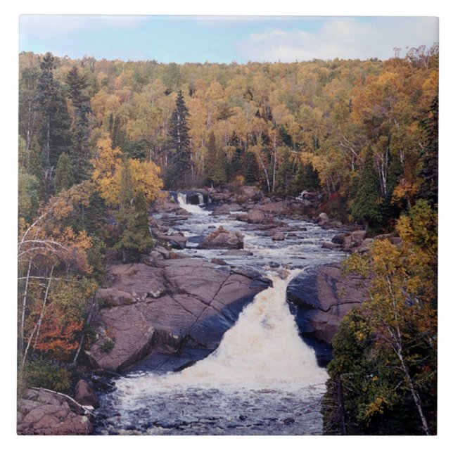 Azulejo de queda do motor do castor (Frente)